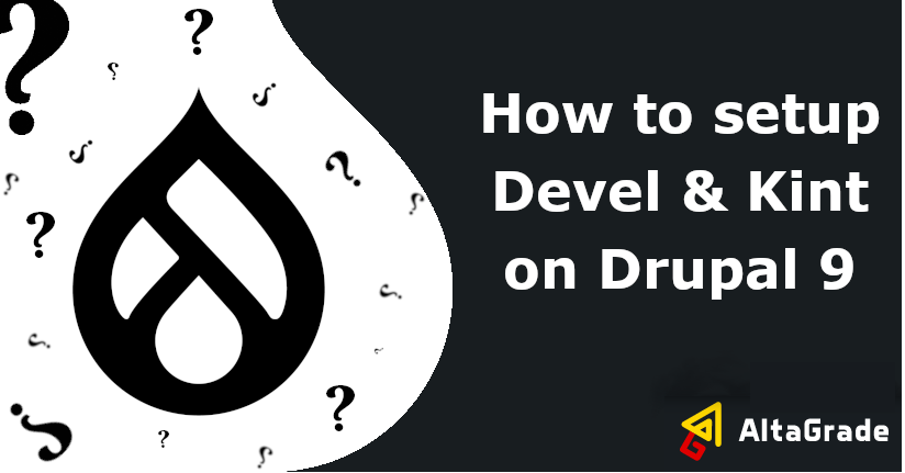 How to properly setup Devel and Kint on Drupal 9?